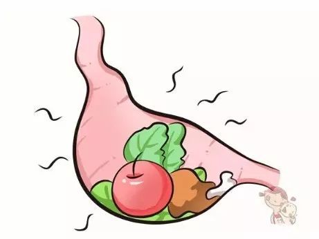 成人營養(yǎng)不良吃飯沒胃口如何調理？