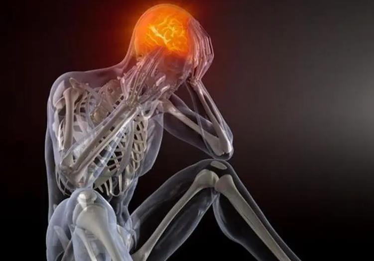 植物神經(jīng)功能紊亂